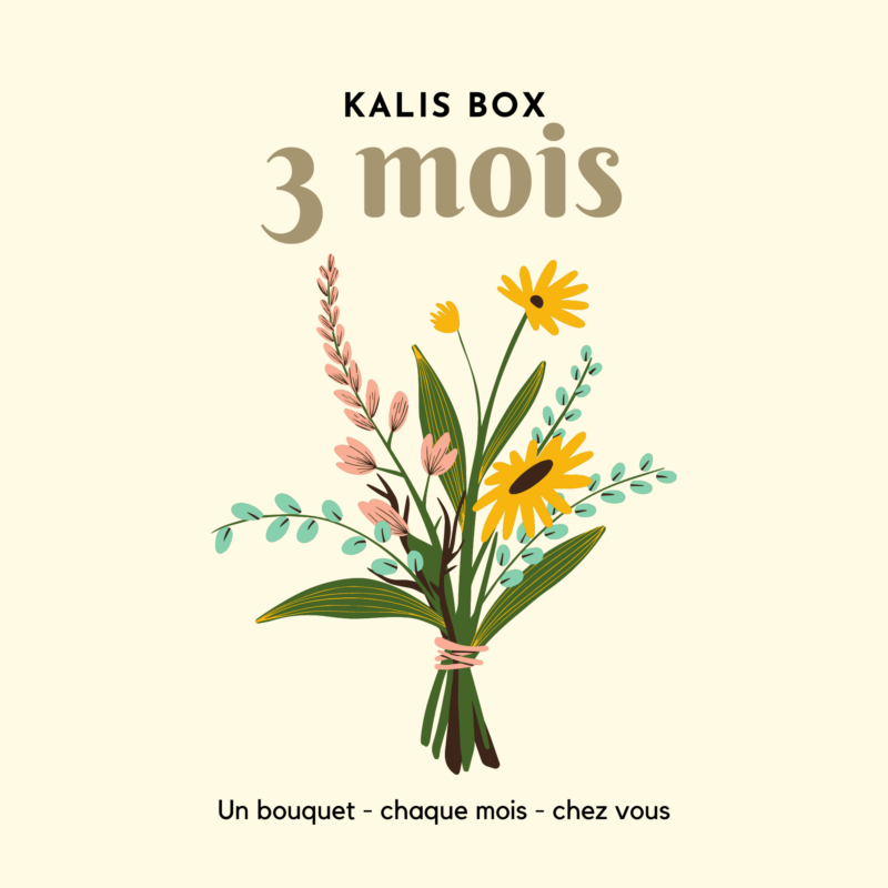 Kalis Box - 3 mois
