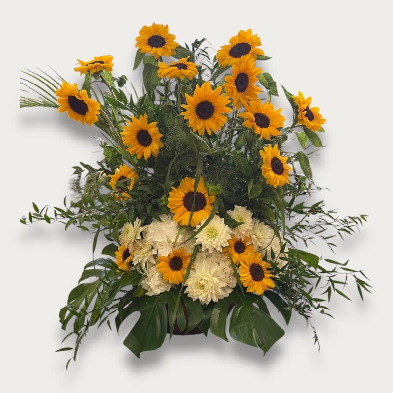 Arrangement piqué haut