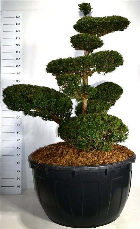 F00004179