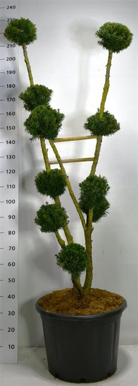 F00004180